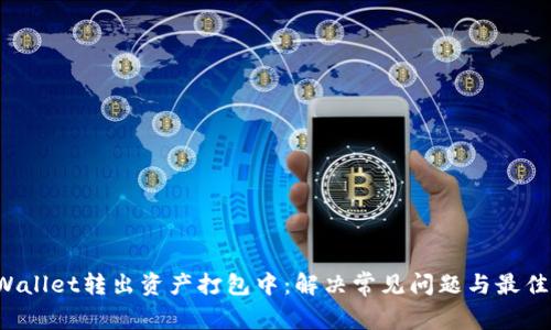TPWallet转出资产打包中:解决常见问题与最佳实践