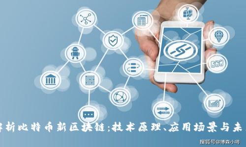 深入解析比特币新区块链:技术原理、应用场景与未来发展