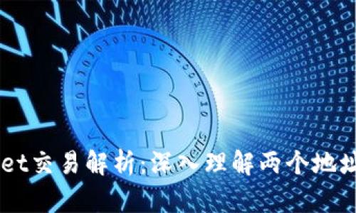 Title: TPWallet交易解析:深入理解两个地址的意义与应用