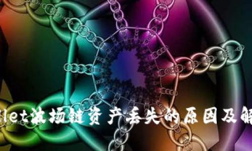 TPWallet波场链资产丢失的原因及解决方案