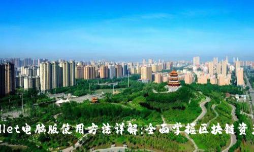 TPWallet电脑版使用方法详解:全面掌握区块链资产管理