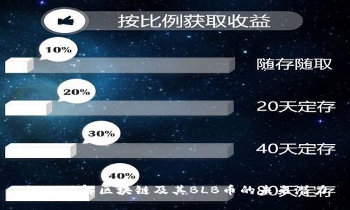 深入了解区块链及其BLB币的未来潜力