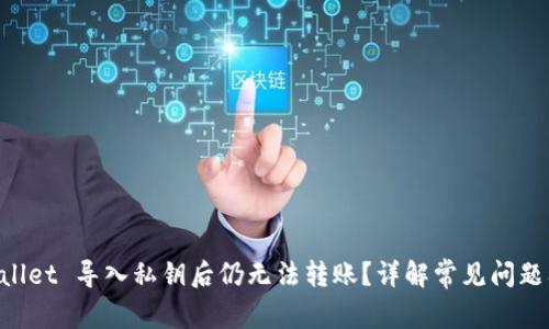 为何 TPWallet 导入私钥后仍无法转账?详解常见问题及解决方案