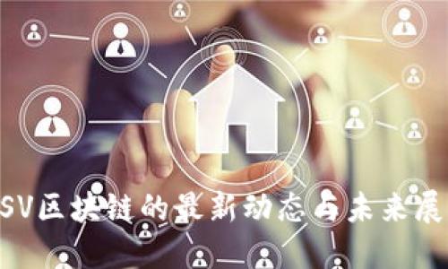 BSV区块链的最新动态与未来展望