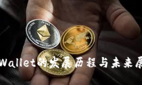 TPWallet的发展历程与未来展望