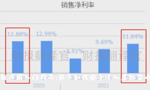 区块链币圈入门指南:新手如何安全进入虚拟货币世界