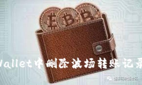 如何在TPWallet中删除波场转账记录:完整指南
