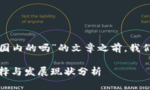 在撰写关于“tpwallet是国内的吗”的文章之前,我们先进行和关键词的设定。
tpwallet:国内钱包的选择与发展现状分析