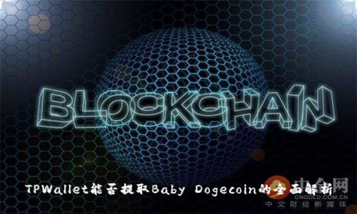 TPWallet能否提取Baby Dogecoin的全面解析