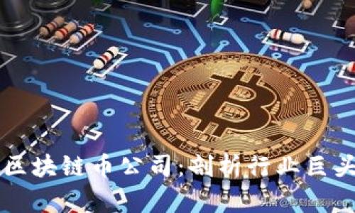 中国最强大区块链币公司:剖析行业巨头与企业未来