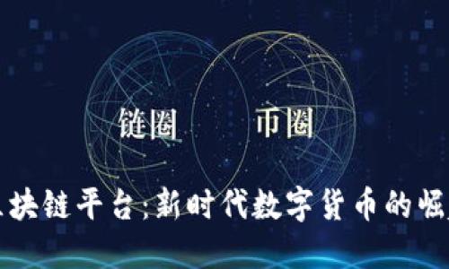中国虚拟币区块链平台:新时代数字货币的崛起与未来发展