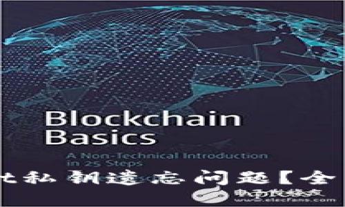 如何应对TPWallet私钥遗忘问题?全面指南与解决方案
