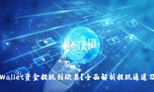 如何将TPWallet资金提现到欧易?全面解析提现通道及注意事项