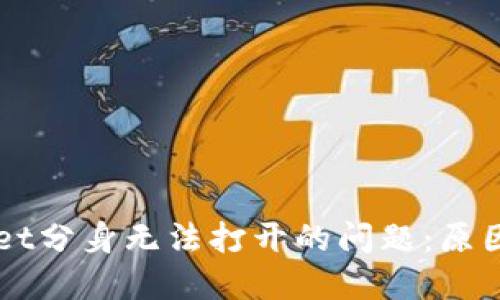 解决TPWallet分身无法打开的问题:原因与解决方案