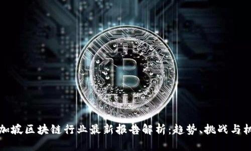 新加坡区块链行业最新报告解析:趋势、挑战与机遇