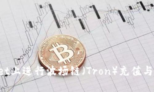 如何在TPWallet上进行波场链(Tron)充值与交易?全面指南