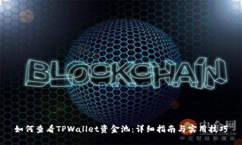 如何查看TPWallet资金池:详细指南与实用技巧