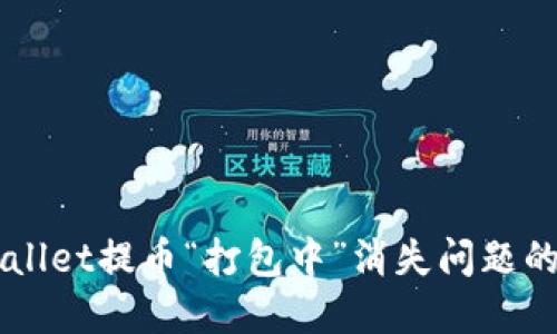 解决TPWallet提币“打包中”消失问题的详细指南