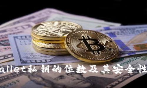TPWallet私钥的位数及其安全性分析
