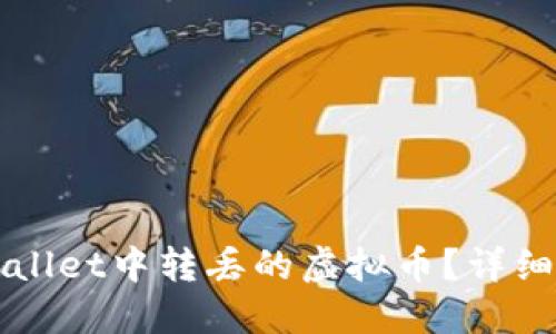 如何找回在TPWallet中转丢的虚拟币?详细指南与解决方案