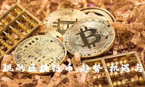 这些年出现的区块链币:趋势、机遇与挑战解析