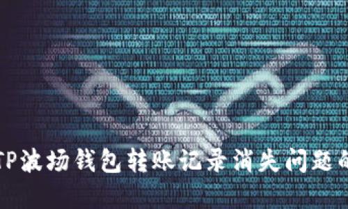 如何解决TP波场钱包转账记录消失问题的全面指南