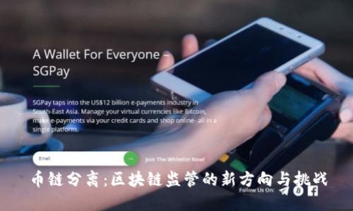 币链分离:区块链监管的新方向与挑战
