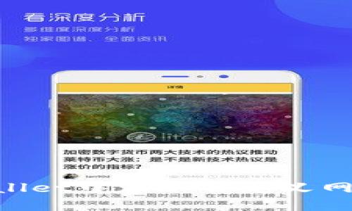 如何在TPWallet中添加自定义网络:详细指南