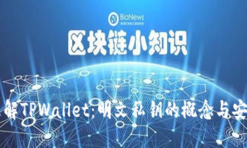 深入理解TPWallet:明文私钥的概念与安全实践