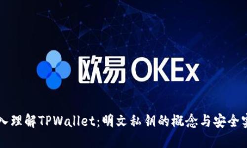深入理解TPWallet:明文私钥的概念与安全实践