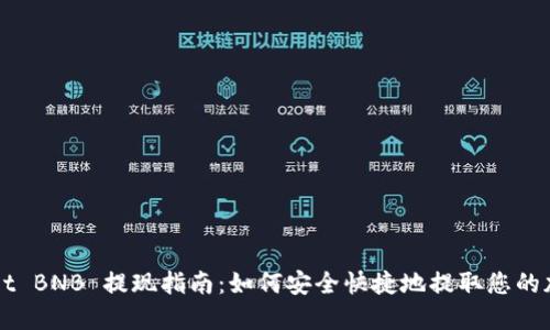 TPWallet BNB 提现指南:如何安全快捷地提取您的加密资产