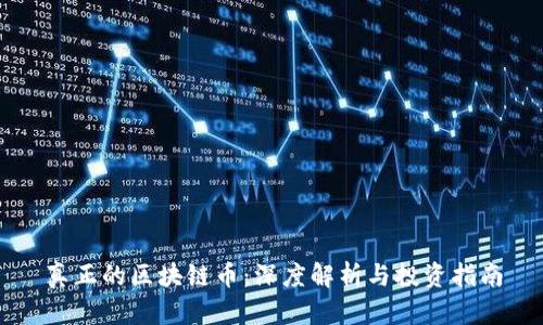 真正的区块链币:深度解析与投资指南