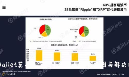 TPWallet莫名多了几十万的币:解析原因与解决方案