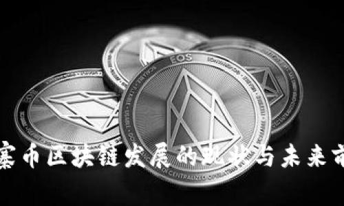 山寨币区块链发展的现状与未来前景