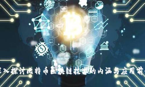 深入探讨比特币区块链技术的内涵与应用前景