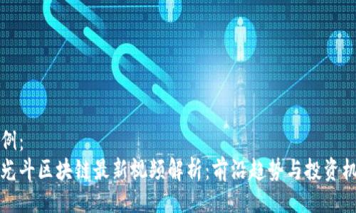 示例:
李光斗区块链最新视频解析:前沿趋势与投资机遇