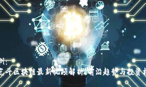 示例:
李光斗区块链最新视频解析:前沿趋势与投资机遇