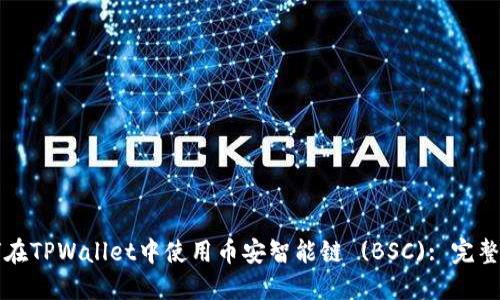 如何在TPWallet中使用币安智能链 (BSC): 完整指南
