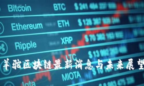 羊驼区块链最新消息与未来展望