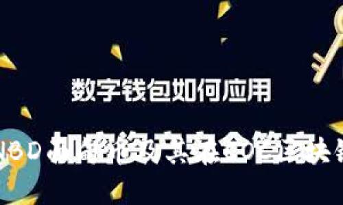 深入了解NBD面甸币及其在COC区块链中的应用