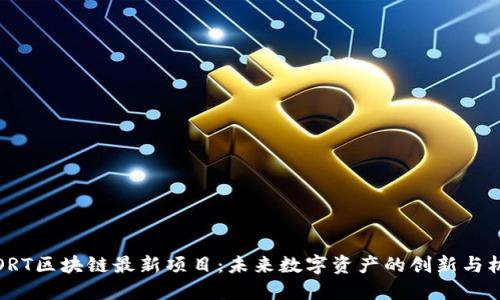 STORT区块链最新项目:未来数字资产的创新与机遇