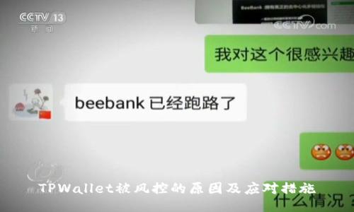 TPWallet被风控的原因及应对措施
