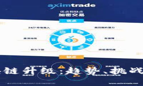 币圈与区块链升级:趋势、挑战与未来发展
