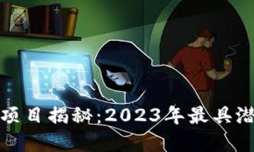 区块链赚币的项目揭秘:2023年最具潜力的投资机会