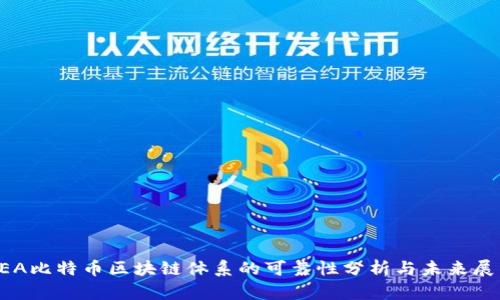 SEA比特币区块链体系的可靠性分析与未来展望