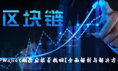 TPWallet删除后能否找回?全面解析与解决方案