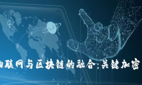 深入探讨物联网与区块链的融合:关键加密货币和应用
