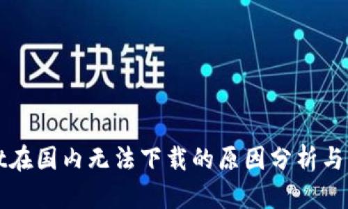 TPWallet在国内无法下载的原因分析与解决方案