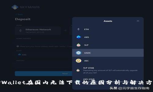 TPWallet在国内无法下载的原因分析与解决方案