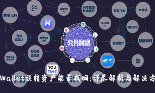 TPWallet误转资产能否找回:详尽解析与解决方案